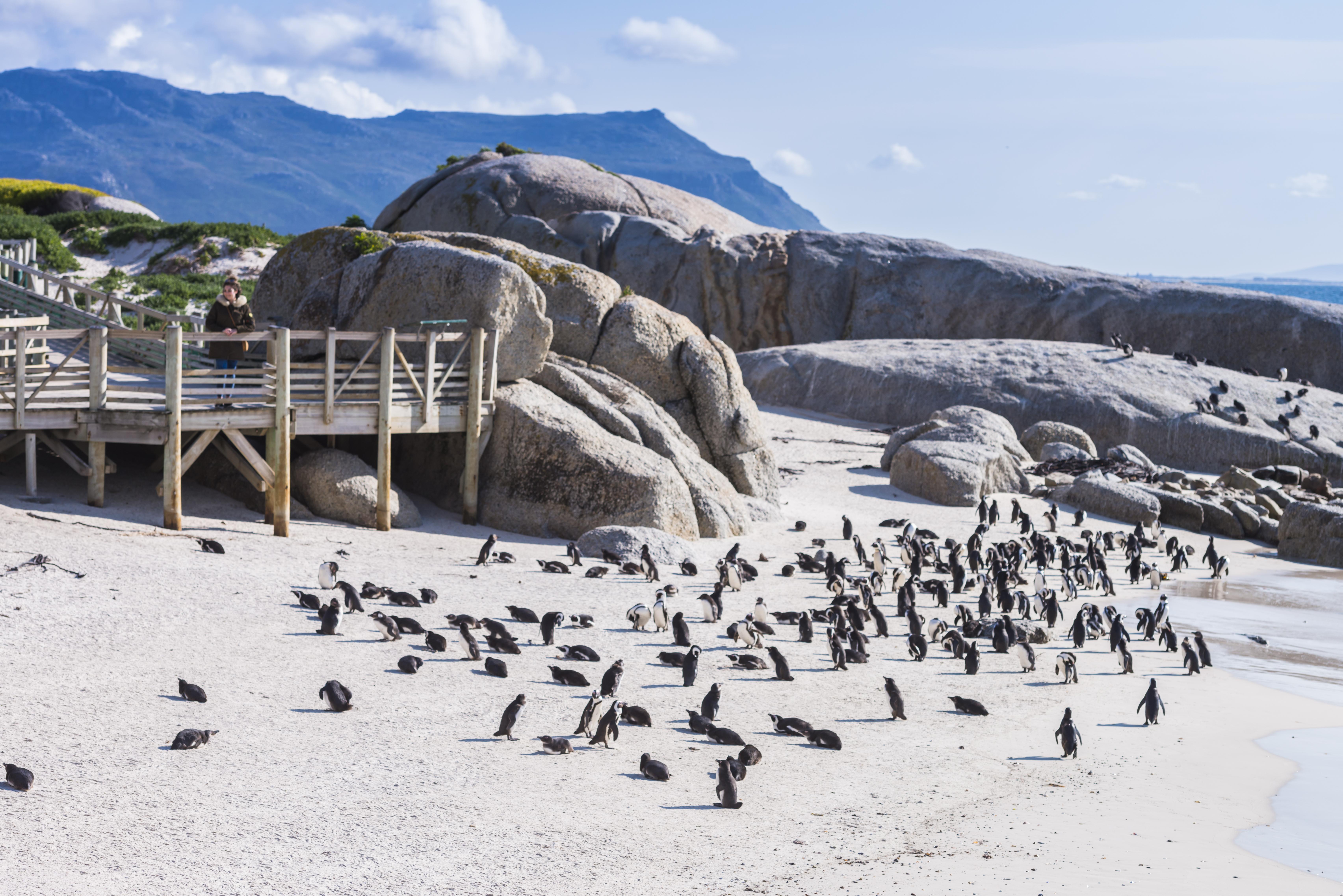 aha サイモンズ タウン キーサイド ホテル Simonʼs Town エクステリア 写真