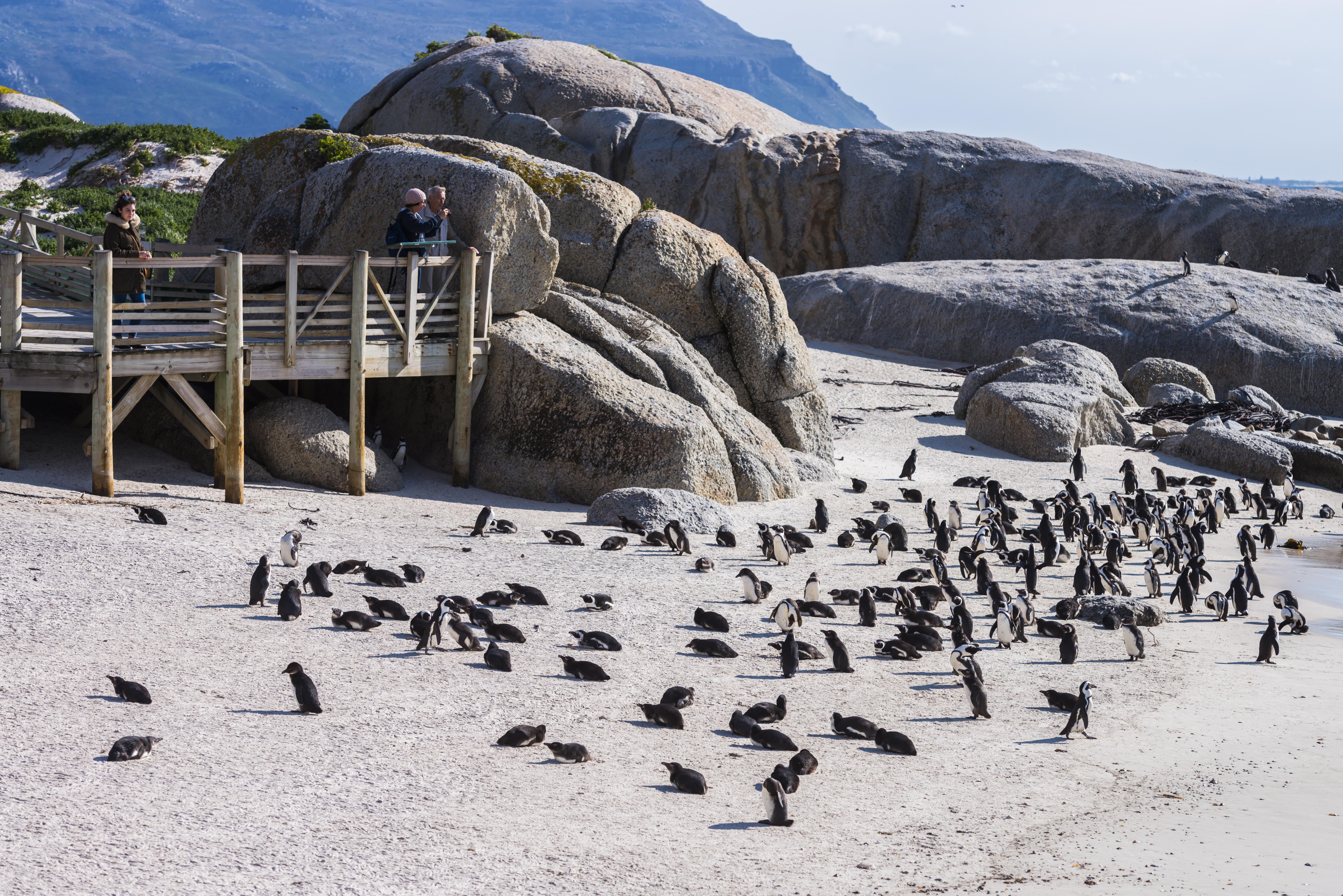 aha サイモンズ タウン キーサイド ホテル Simonʼs Town エクステリア 写真